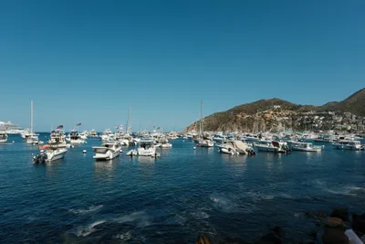 Catalina Island, frame 006