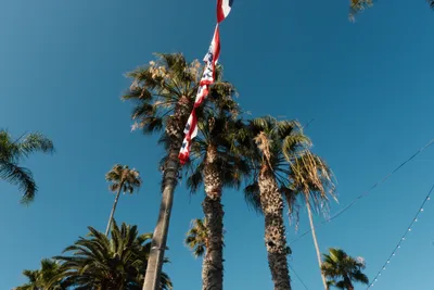 Catalina Island, frame 010