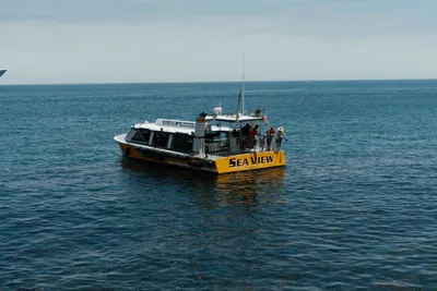 Catalina Island, frame 013