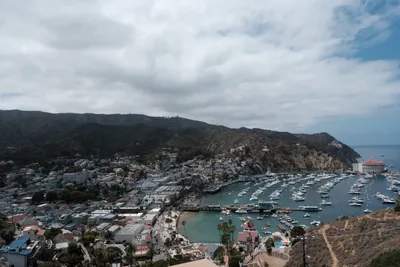 Catalina Island, frame 021