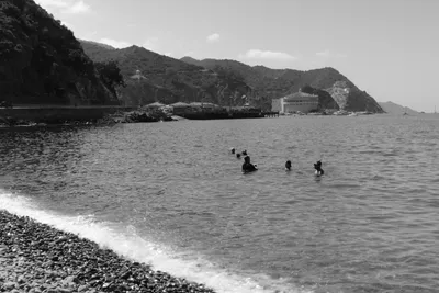 Catalina Island, frame 029